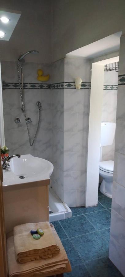 La Casa Del Nonno - Tiny House Villa Reggello Dış mekan fotoğraf